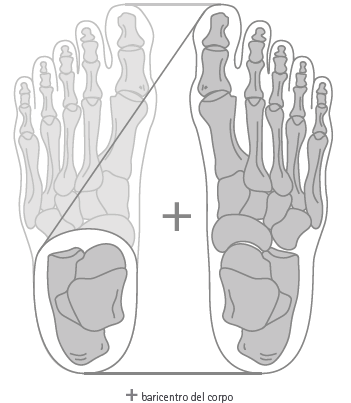 Modello Anatomico Malformazioni Di Piede 3B Scientific - VR4185L, Per Studio E Formazione Medica - Foto 8